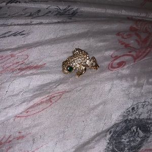Real frog pin